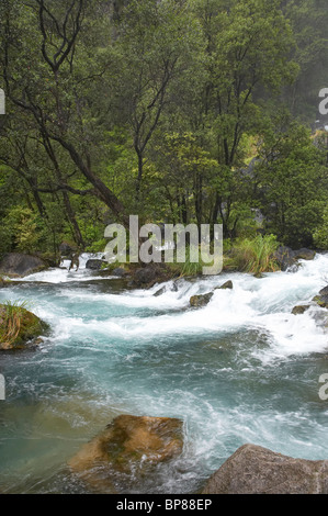 Rapids on Tarawera River, below Tarawera Falls, near Kawerau, Eastern Bay of Plenty, North Island, New Zealand Stock Photo