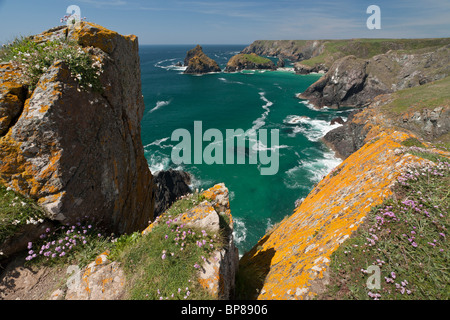 Lizard Coast framed by Lichen covered rocks. The cliffs, the beaches and the headlands along the Coast Path Stock Photo