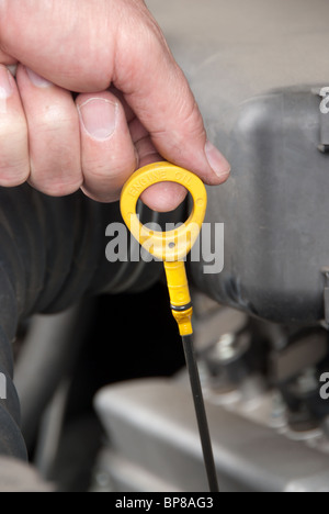 Pulling dipstick out of a car engine to check the oil Stock Photo - Alamy