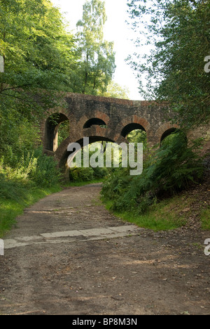 Seven arch bridge at Rivington Terraced Gardens, Lancashire. Stock Photo