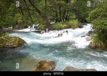 Rapids on Tarawera River, below Tarawera Falls, near Kawerau, Eastern Bay of Plenty, North Island, New Zealand Stock Photo