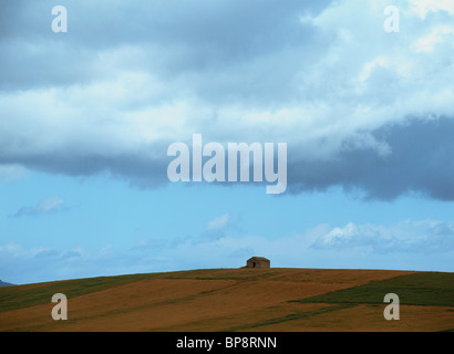 A Small Hut in a Vast Agricultural Field. Sicily, Italy, Europe Stock Photo