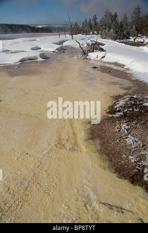 USA, Wyoming. Yellowstone National Park. Fountain Paint Pot area. Geothermal features, thermopile bacteria mat.
