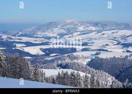 View on a winter's morning from  Breitnau-Fahrenberg towards the mountain Kandel, Black Forest, Baden-Wuerttemberg, Germany, Eur Stock Photo