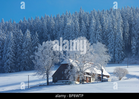 Farmhouse on a winter's morning at Breitnau-Fahrenberg, Black Forest, Baden-Wuerttemberg, Germany, Europe Stock Photo