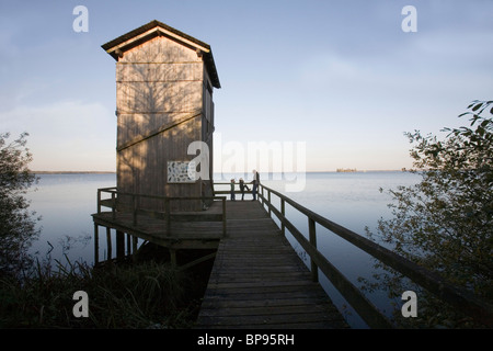 birdwatching  tower Steinhuder Meer, region Hanover, Lower Saxony, northern Germany Stock Photo