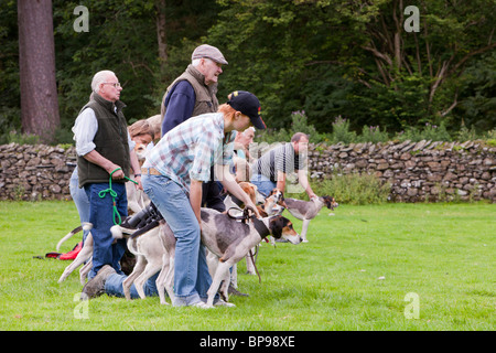 Owners line up with their hounds for the start of the hound trail at the Vale of Rydal Sheepdog Trials, Ambleside Stock Photo