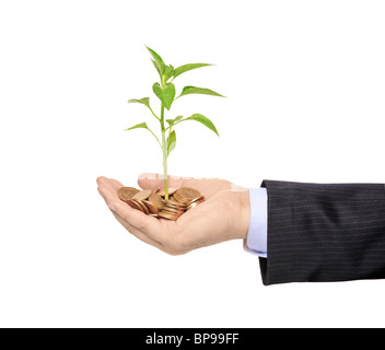 Hand holding a plant growing from pile of coins Stock Photo