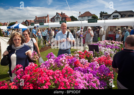 UK, England, Merseyside, Southport Flower Show, visitors at nursery stall selling colourful stocks in flower Stock Photo