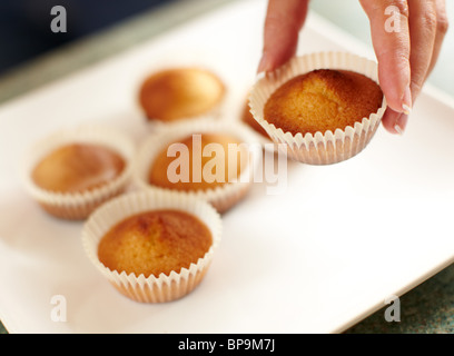 Cupcakes Stock Photo