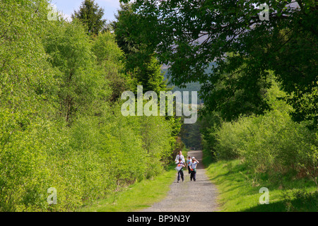 A family walking in the Galloway Forest Park at Kirroughtree Visitor Centre near Newton Stewart in Dumfries and Galloway, Scotland. Stock Photo