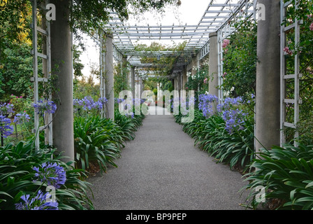 Beautiful walkway towards a lush garden. Stock Photo