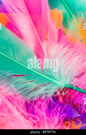 Colorful Feather close up shot Stock Photo