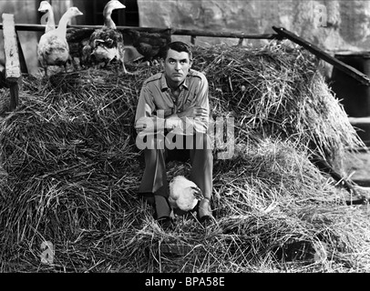 CARY GRANT I WAS A MALE WAR BRIDE (1949) Stock Photo