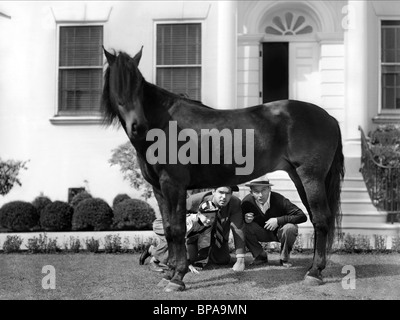 DONALD O'CONNOR, FRED MACMURRAY, BING CROSBY, HORSE, SING YOU SINNERS, 1938 Stock Photo