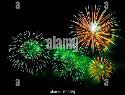 Firework bursts in the night sky, over trees (just visible). Space for text in the dark of the night sky. Stock Photo