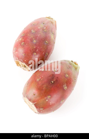 Cactus Fruit with white background