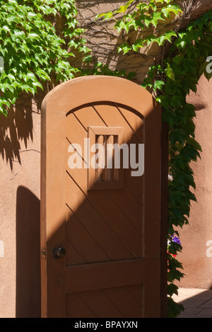 Wooden brown doorway and vine on an adobe wall entrance to a Santa Fe, New Mexico house. Stock Photo