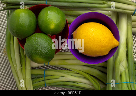 Arrangement of limes, lemons, onions, anodized aluminum cups. Stock Photo