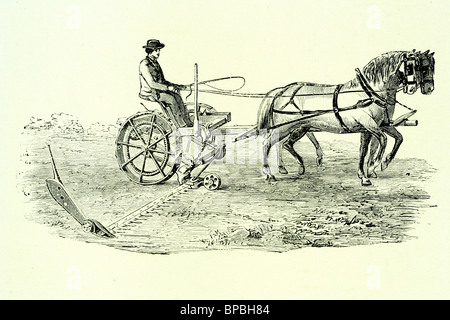 agriculture,farm labour,field,working with scythes,after Anglo-Saxon ...