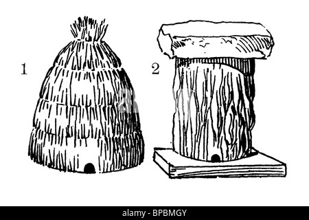 Old beehives (made from straw and cork bark). Antique illustration. 1900. Stock Photo
