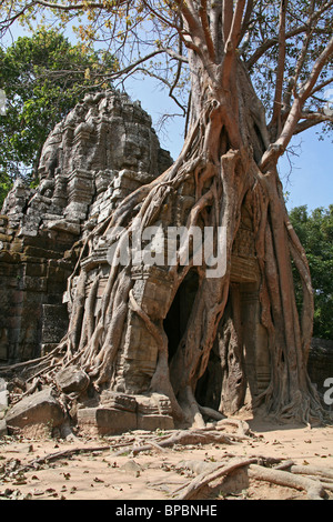 Ta Som temple at Angkor, Cambodia Stock Photo