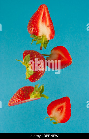 strawberries falling from above on blue background Stock Photo