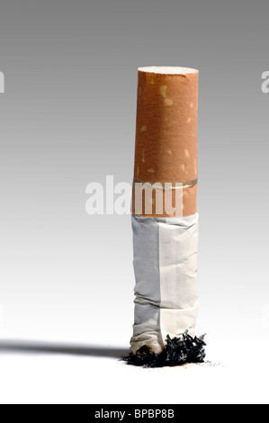 Stubbed out cigarette Stock Photo