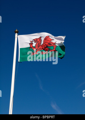 The Red Dragon National Flag of Wales Stock Photo
