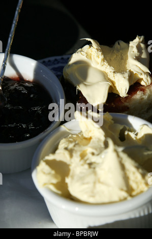 Cream tea, Devon Stock Photo