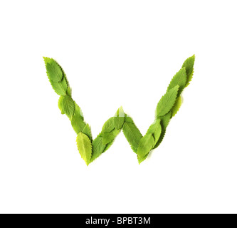 Lowercase letters made of leaves Stock Photo