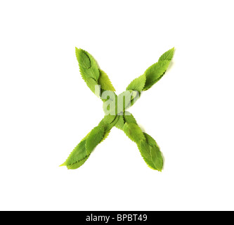 Lowercase letters made of leaves Stock Photo