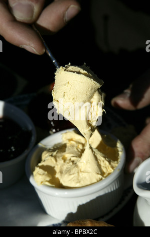 Cream tea, Devon Stock Photo