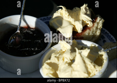 Cream tea, Devon Stock Photo