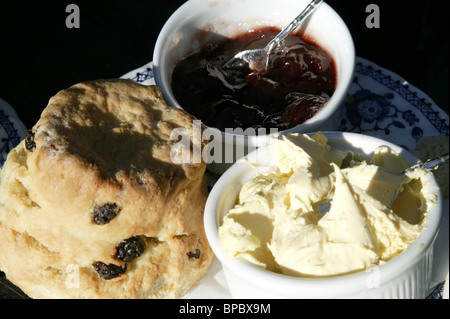 Cream tea, Devon Stock Photo