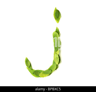 Lowercase letters made of leaves Stock Photo