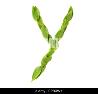 Lowercase letters made of leaves Stock Photo