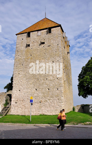 The Powder Tower, Old Town, Visby, Gotland Municipality, Gotland County, Kingdom of Sweden Stock Photo