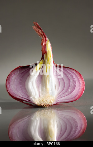 Red onion isolated on gray background artistic food still life Stock Photo