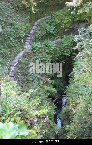 Lydford Gorge, Dartmoor, Devon, UK Stock Photo