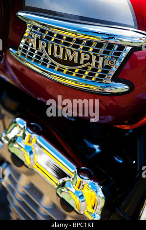 Triumph Thunderbird motorcycle tank badge , Classic british motorcycle Stock Photo