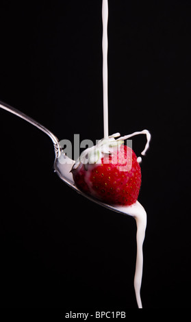 A stream of milk pouring and splashing onto a strawberry on a spoon against an isolated black background. Stock Photo