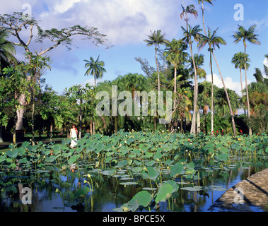 Lotus pond, Sir Seewoosagur Botanical Gardens, Pamplemousses District, Republic of Mauritius Stock Photo