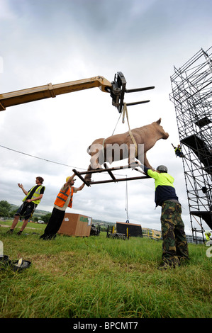 Event preparations including hoisting in a model bull at the Glastonbury Festival site Pilton UK Stock Photo