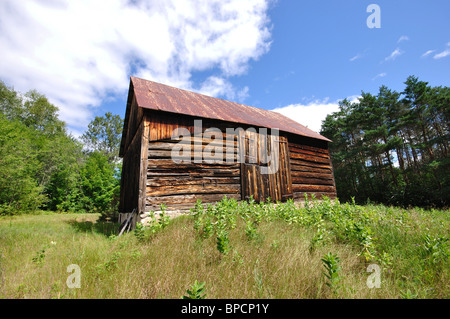 wide angle of a barn on grassy knoll in clearing against background of pine trees and blue sky Stock Photo