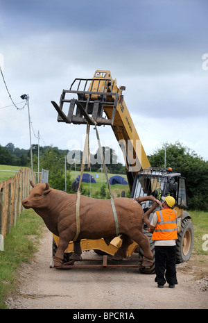 Event preperations including hoisting in a model bull at the Glastonbury Festival site Pilton UK Stock Photo