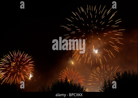 Fireworks bursting over trees and against the night sky. Space for text in the sky. Stock Photo