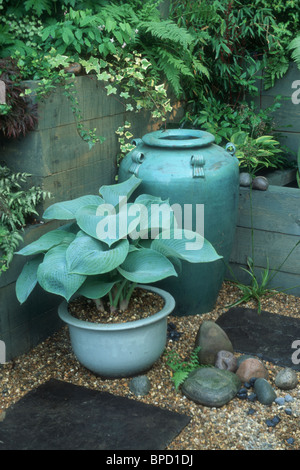 Blue hosta in matching blue pot & urn in shady spot with ferns in secret zen style garden soft harmonious colors on patio corner Stock Photo