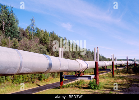 Trans-Alaska / Trans Alaska Pipeline aka Alyeska Pipeline, Oil Pipeline above ground along Richardson Highway, AK, Alaska, USA Stock Photo