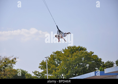 Sky coaster swing at Hurricane Harbor waterpark , Six Flags Over Texas amusement park, Arlington, TX, USA Stock Photo